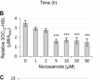 niclosamide dosage